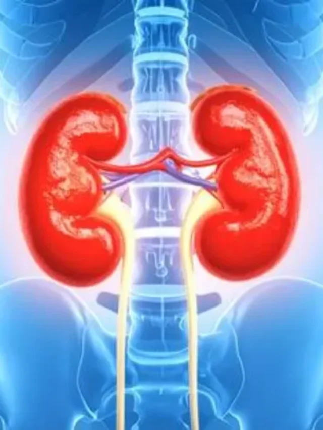 Natural Treatment for Bladder Infection (UTI) – Safe & Effective Remedies